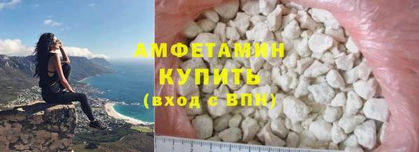 стаф Вязьма