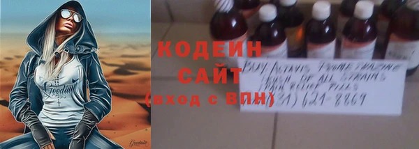 стаф Вязьма