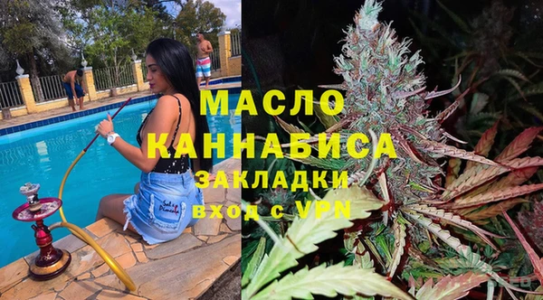 стаф Вязьма