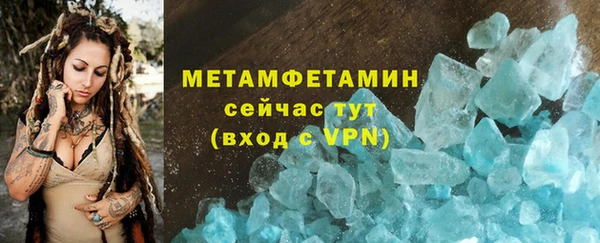 стаф Вязьма