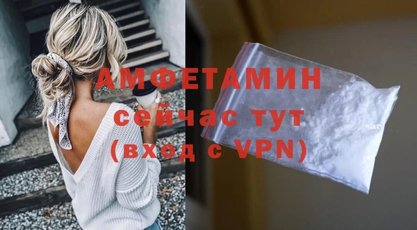 стаф Вязьма