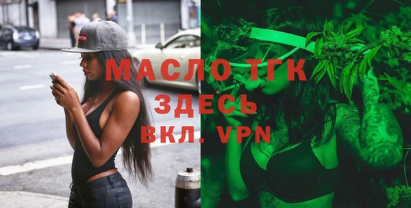 стаф Вязьма