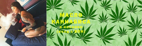 стаф Вязьма