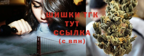 стаф Вязьма
