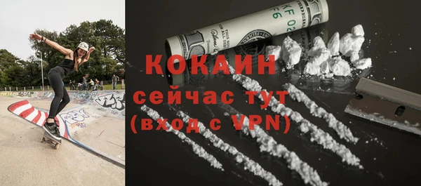 стаф Вязьма