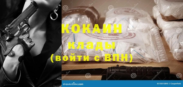 стаф Вязьма