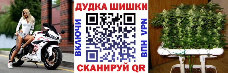 Бошки марихуана планчик Пятигорск